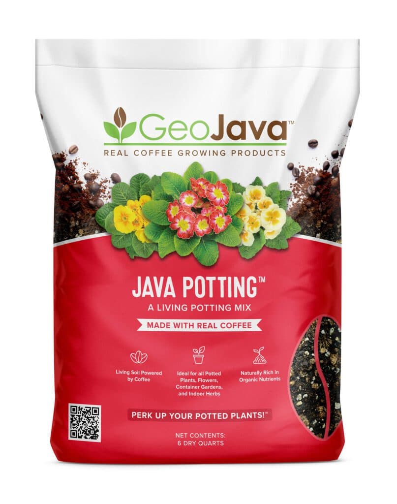 Java Potting