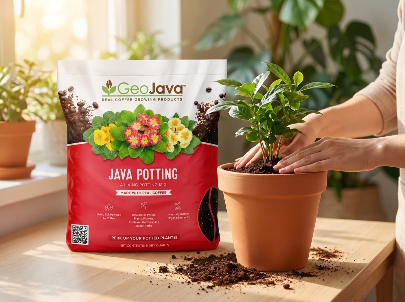Potting a houseplant at home with a bag of GeoJava Java Potting mix