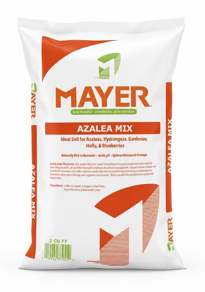 Azalea Mix