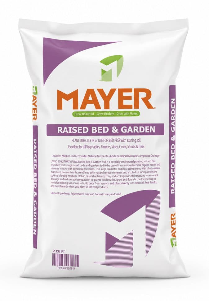 Raised Bed & Garden