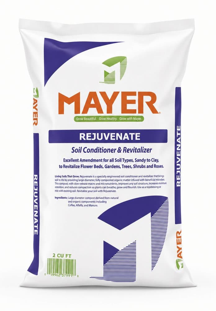 Rejuvenate